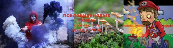 крисы Арсеньев