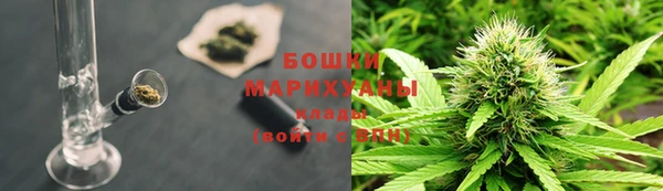 трава Армянск