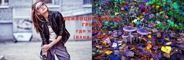 крисы Арсеньев