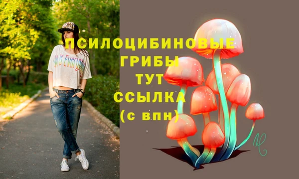 трава Армянск