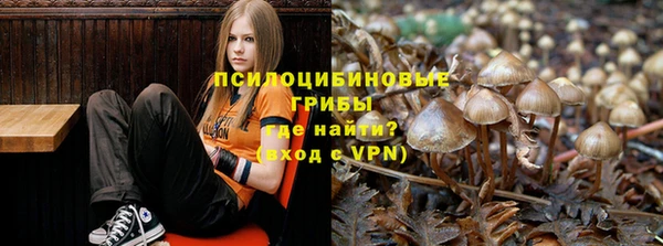 крисы Арсеньев