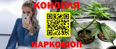 тгк Будённовск