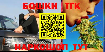 тгк Будённовск